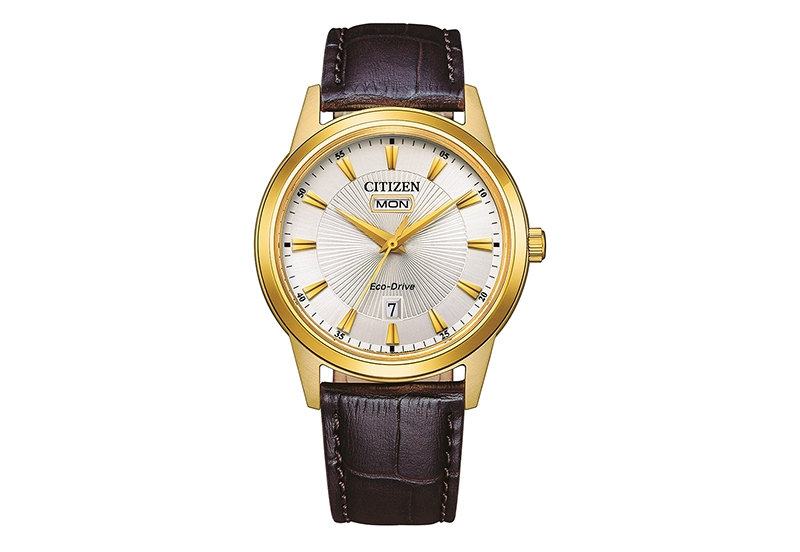 Citizen Armband AW0102-13AE