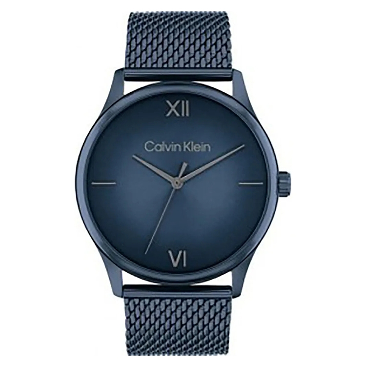 Calvin Klein Band 25200451 Ascend