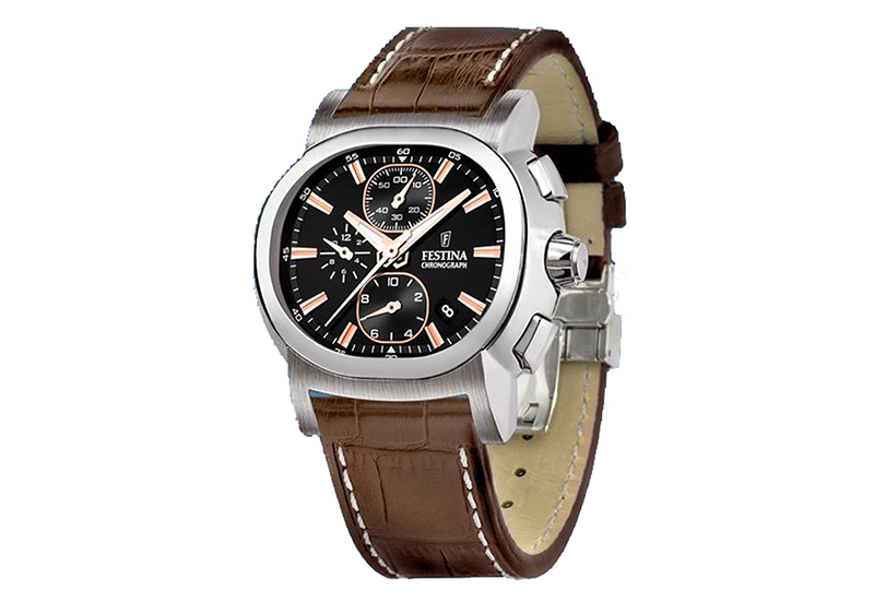 Festina Armband F16232/D