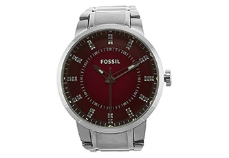 Fossil Uhrenarmband FS4901