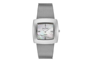 Skagen Uhrenarmband 570STW