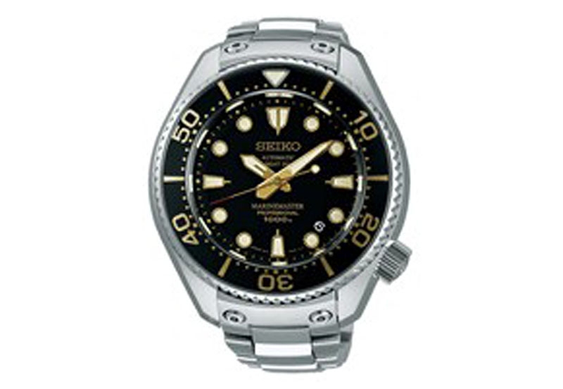 Original Uhrenarmband für Seiko SBEX001