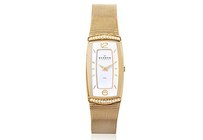 Skagen Uhrenarmband 887SGG