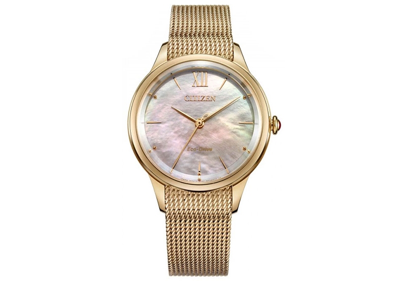 Citizen Uhrenarmband EM0813 - 86Y