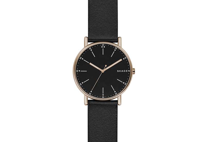 Skagen Uhrenarmband SKW6401 Signatur