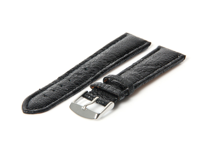 Uhrenarmband 22mm Schwarz glänzend