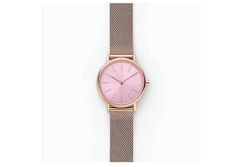 Skagen Uhrenarmband SKW2975
