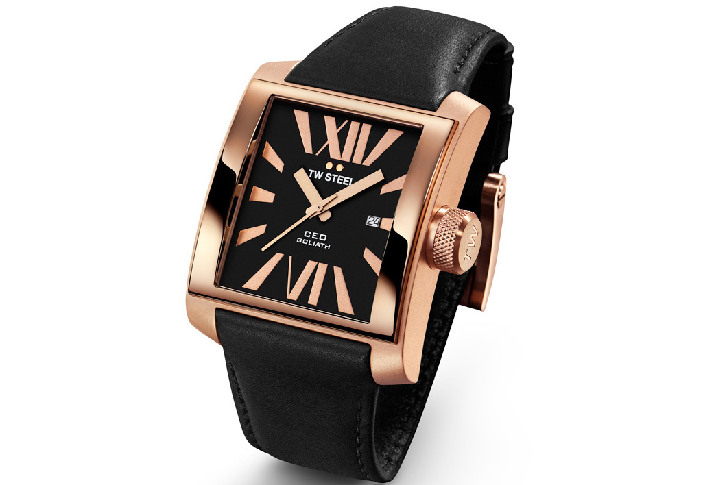 Uhrenarmband TW STEEL CE3011 XL