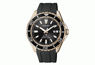Citizen horlogeband BN0193-17E