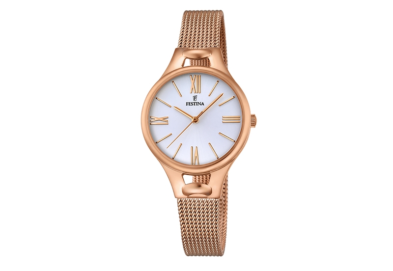 Festina Armband F16952/1