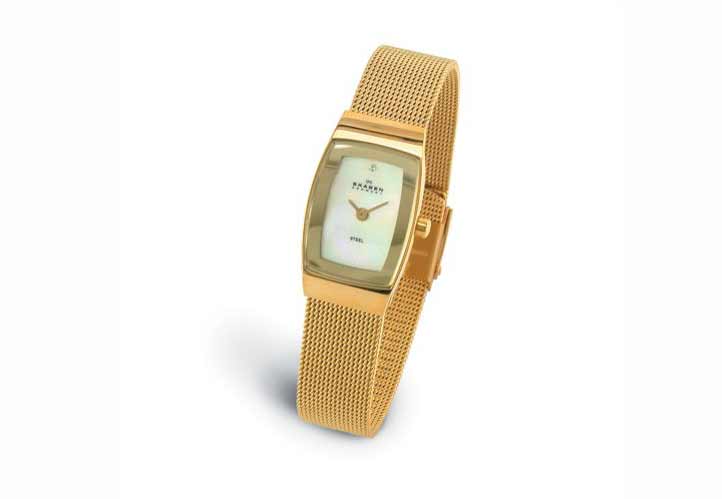 Skagen Uhrenarmband 271SGG