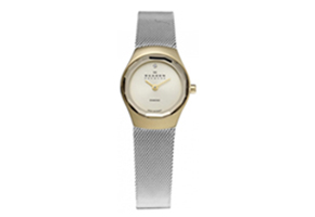 Skagen Uhrenarmband 432SGS
