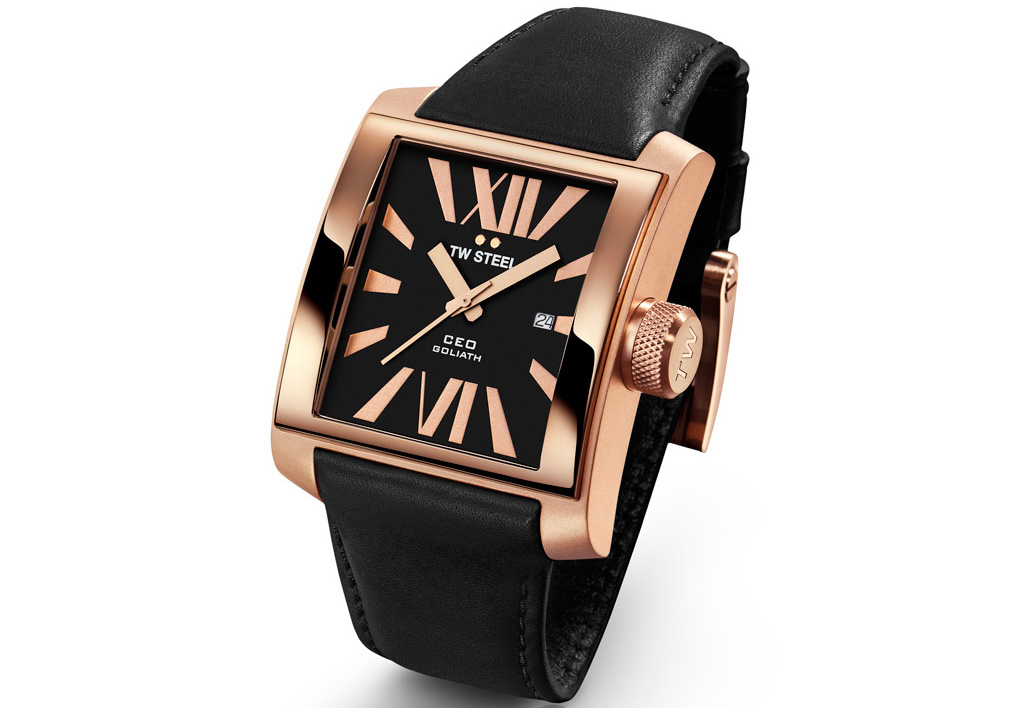 Uhrenarmband TW STEEL CE3010