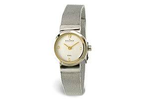 Skagen Uhrenarmband 590SGS
