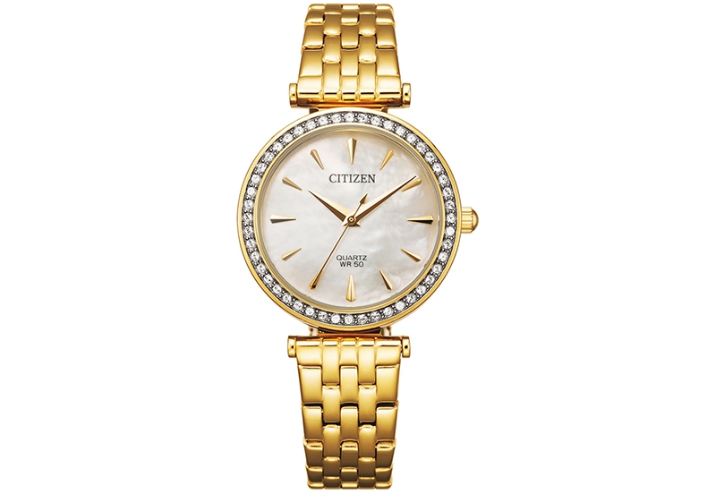 Citizen Uhrenarmband ER0212 - 50Y