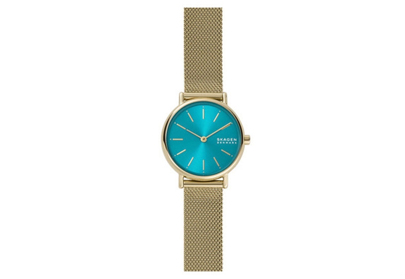 Skagen Uhrenarmband SKW2984