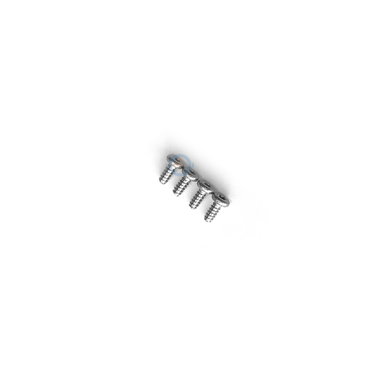 Schroefjes voor Garmin Forerunner 30/35