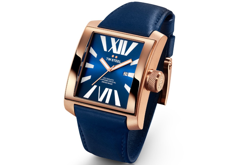Uhrenarmband TW STEEL CE3018