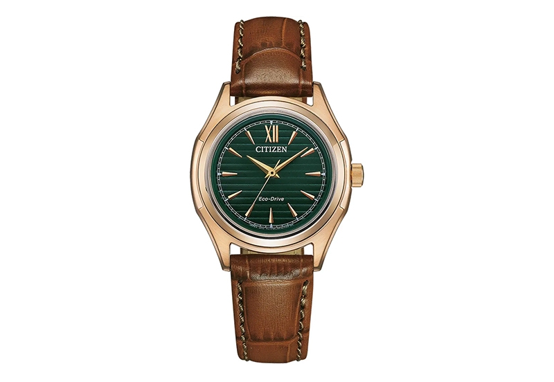 Citizen Armband FE2113-16X