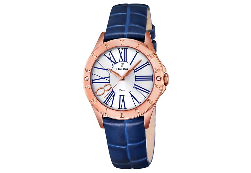 Festina Armband F16930/1