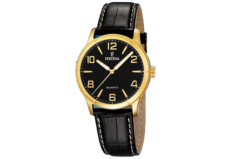 Festina Armband F16452/5