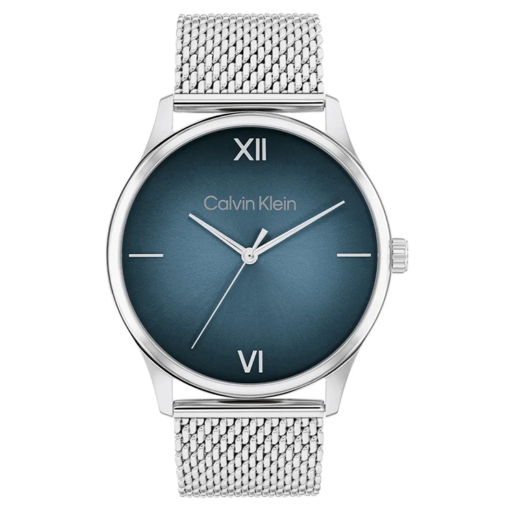 Calvin Klein Band 25200450 Ascend