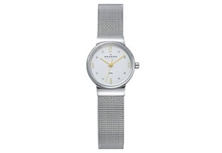 Skagen Uhrenarmband 355XSGSC