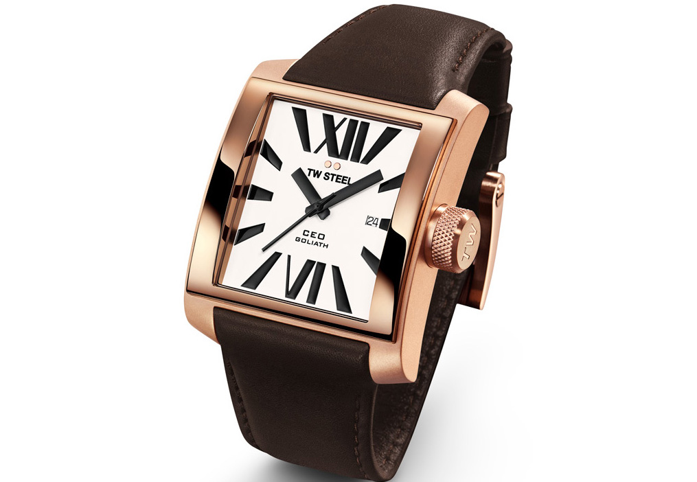 Uhrenarmband TW STEEL CE3008 XL