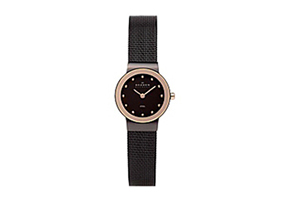 Skagen Uhrenarmband 358XSDDR