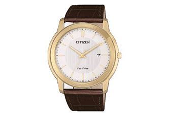 Citizen Uhrarmband AW1212 - 10A