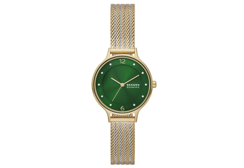 Skagen Uhrenarmband SKW3063