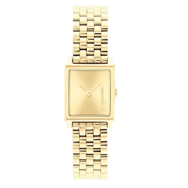 Calvin Klein Band 25000004 Swiss Elongated