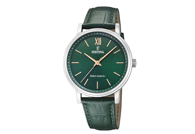 Festina Uhrenarmband F20660-5