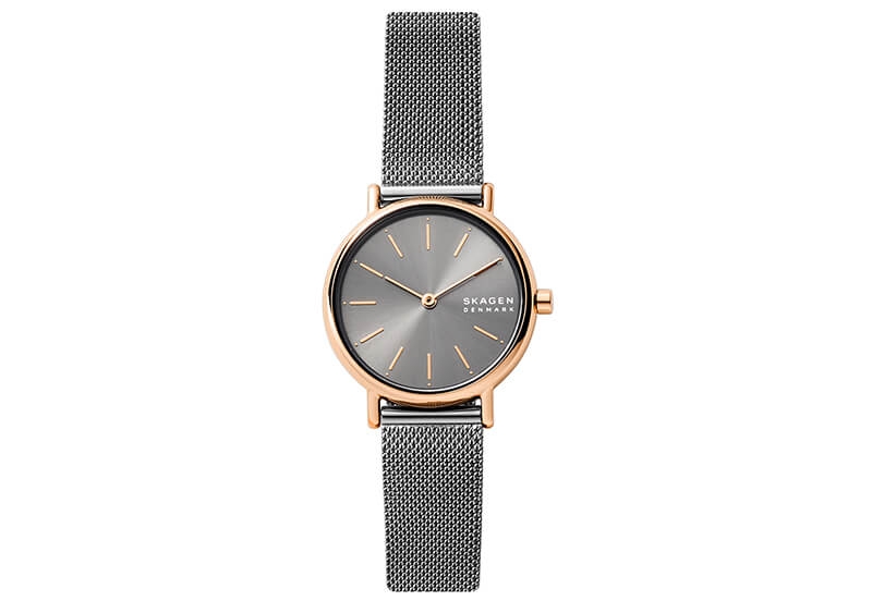 Skagen Uhrenarmband SKW2996