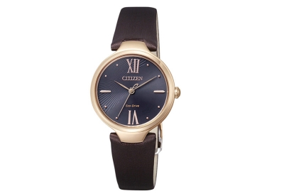 Citizen Uhrenarmband Promaster EM0042-17E