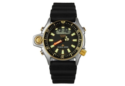 Citizen Uhrenarmband JH0004-01E