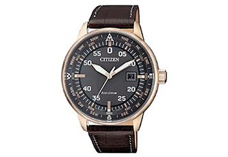 Citizen Uhrarmband BM7393 - 16H