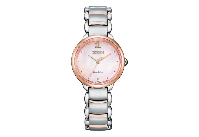 Citizen Armband EM0924-85Y