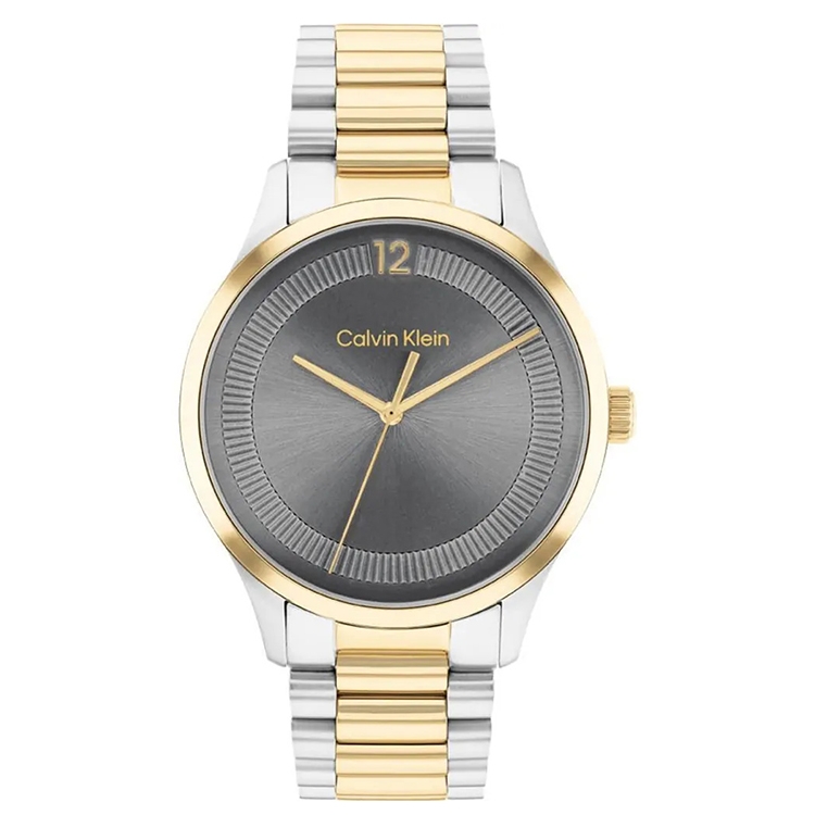 Calvin Klein Band 25200226 Iconic