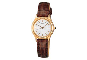 Seiko Uhrenarmband SWJ092P1