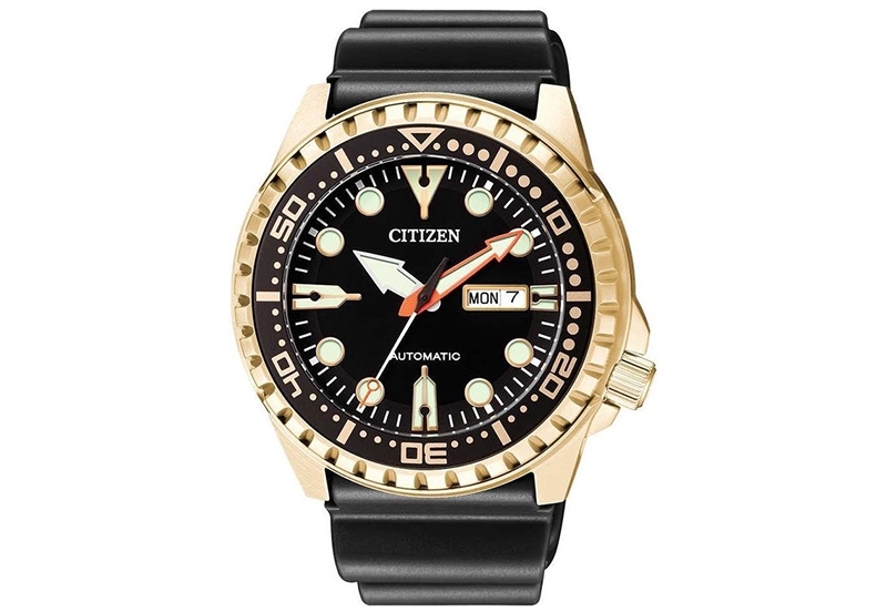 Citizen Uhrenarmband NH8383 - 17EE