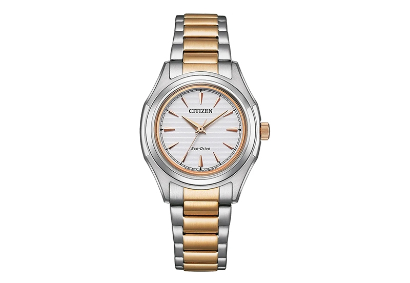 Citizen Armband FE2116-85A
