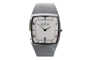 Skagen Uhrenarmband 380LSGS