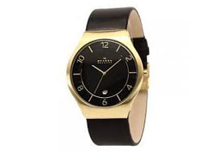Skagen Uhrenarmband SKW6145