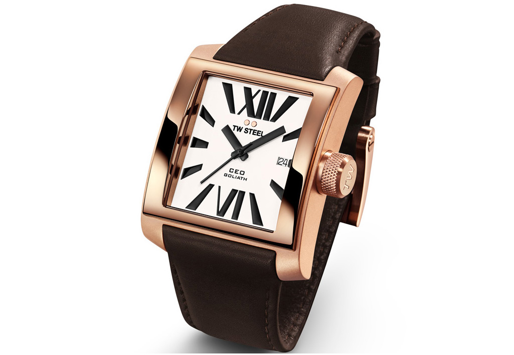 Uhrenarmband TW STEEL CE3007