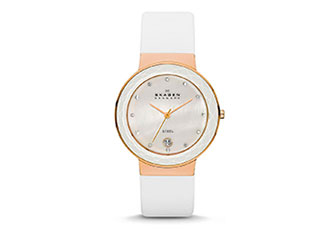 Skagen Uhrenarmband SKW2034