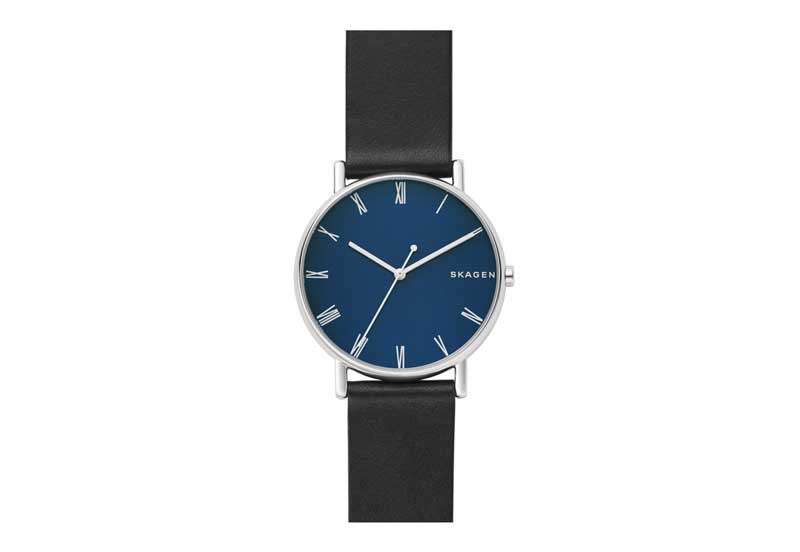 Skagen Uhrenarmband SKW6434