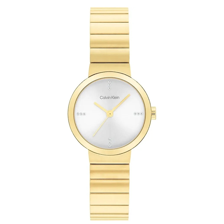 Calvin Klein Band 25200416 Precise
