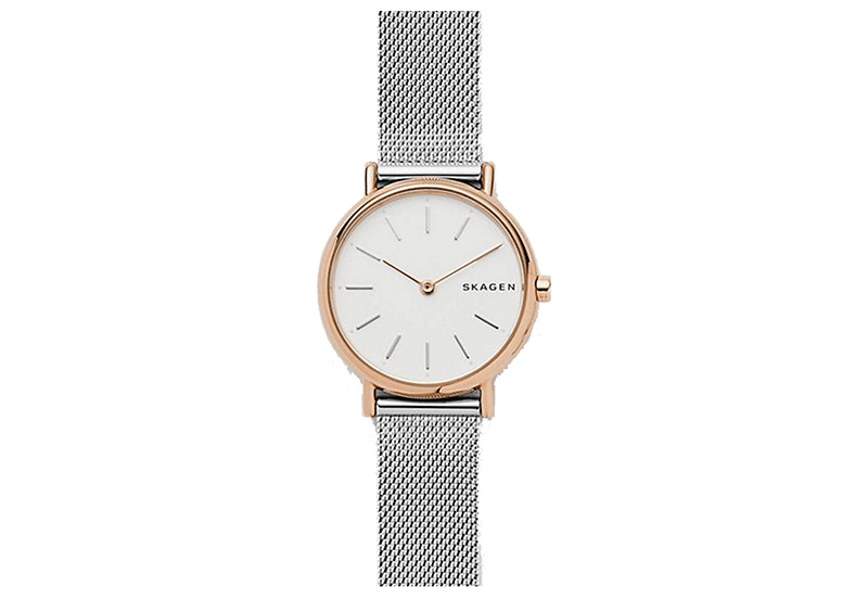 Skagen Uhrenarmband SKW1106