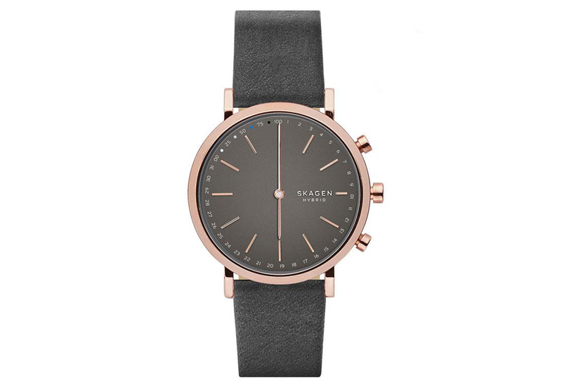 Skagen Uhrenarmband SKT1207